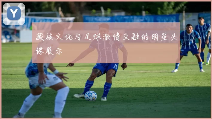 藏族文化与足球激情交融的明星头像展示