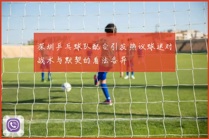 深圳乒乓球队配合引发热议球迷对战术与默契的看法各异