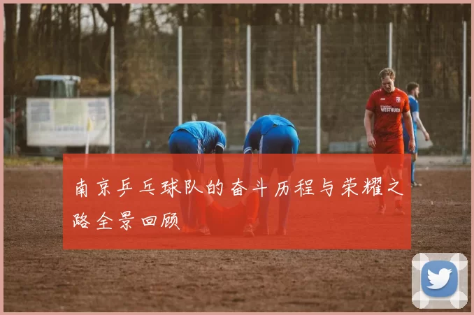 南京乒乓球队的奋斗历程与荣耀之路全景回顾