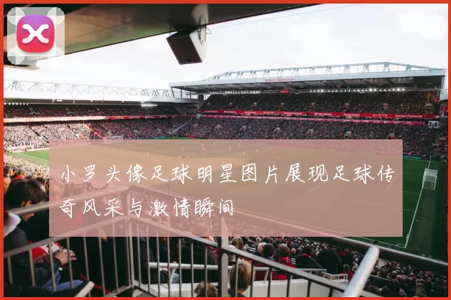 小罗头像足球明星图片展现足球传奇风采与激情瞬间