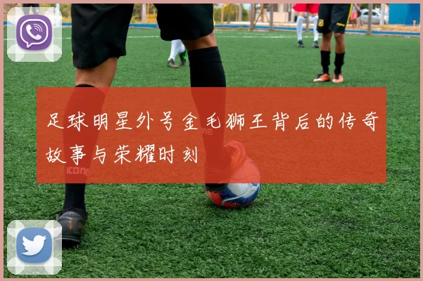足球明星外号金毛狮王背后的传奇故事与荣耀时刻