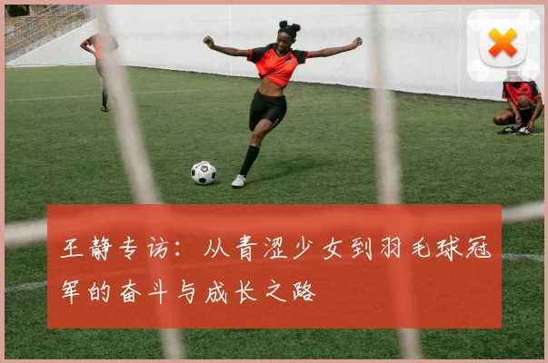 王静专访：从青涩少女到羽毛球冠军的奋斗与成长之路