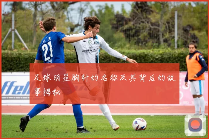 足球明星胸针的名称及其背后的故事揭秘
