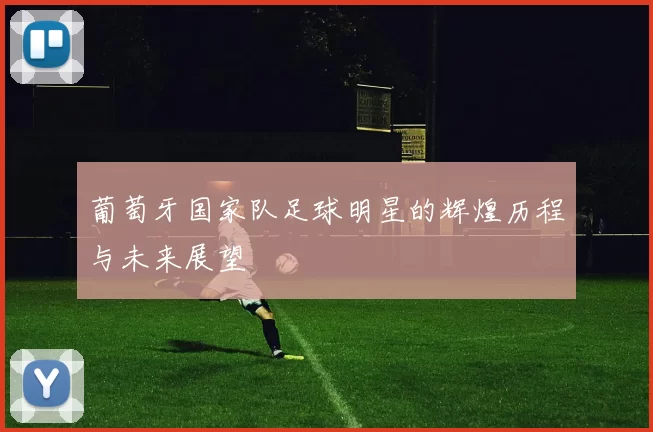 葡萄牙国家队足球明星的辉煌历程与未来展望