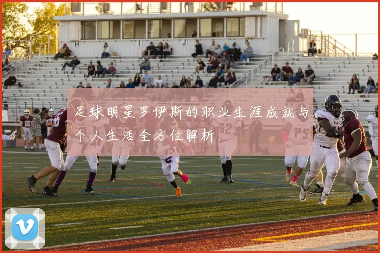 足球明星罗伊斯的职业生涯成就与个人生活全方位解析