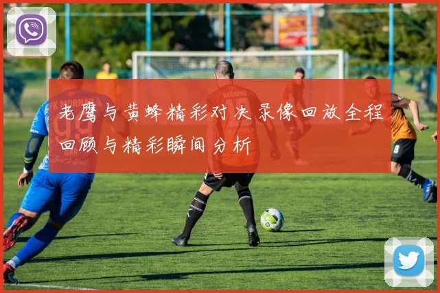 老鹰与黄蜂精彩对决录像回放全程回顾与精彩瞬间分析