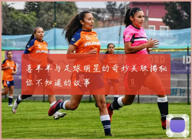 喜羊羊与足球明星的奇妙关联揭秘你不知道的故事