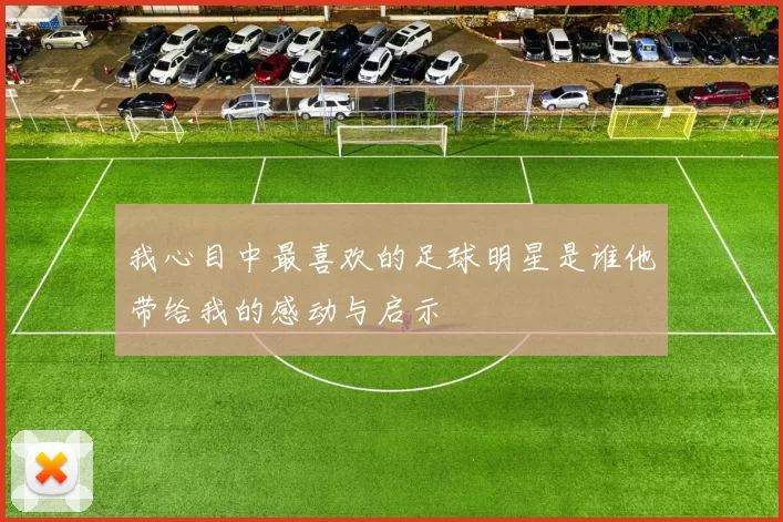 我心目中最喜欢的足球明星是谁他带给我的感动与启示
