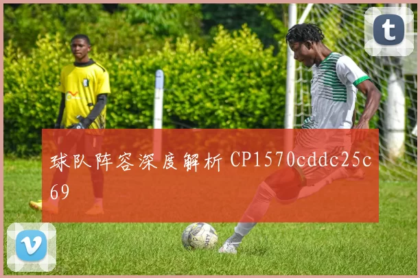 球队阵容深度解析 CP1570cddc25c69