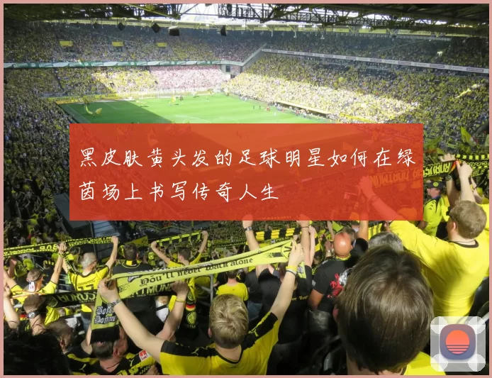 黑皮肤黄头发的足球明星如何在绿茵场上书写传奇人生