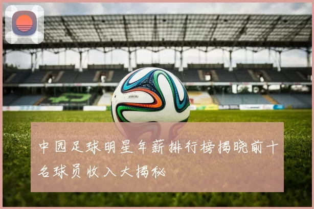 中园足球明星年薪排行榜揭晓前十名球员收入大揭秘