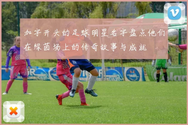 加字开头的足球明星名字盘点他们在绿茵场上的传奇故事与成就