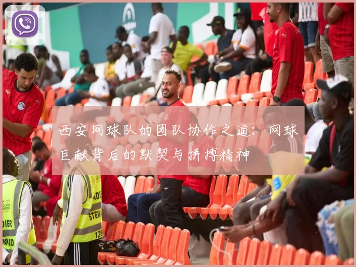 西安网球队的团队协作之道：网球巨献背后的默契与拼搏精神