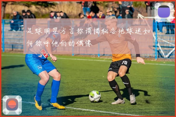足球明星方言称谓揭秘各地球迷如何称呼他们的偶像