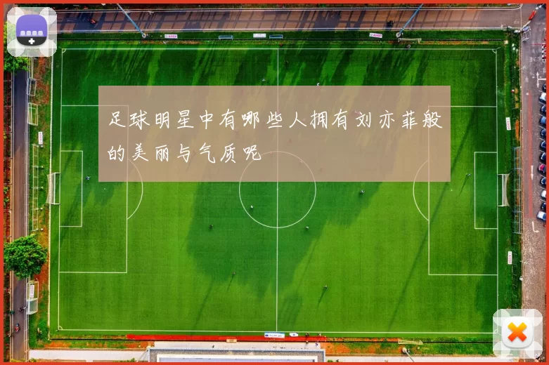 足球明星中有哪些人拥有刘亦菲般的美丽与气质呢