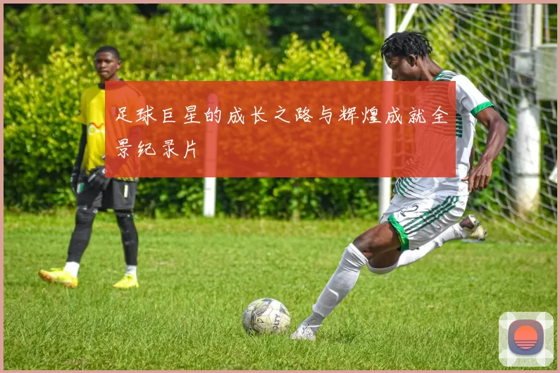 足球巨星的成长之路与辉煌成就全景纪录片
