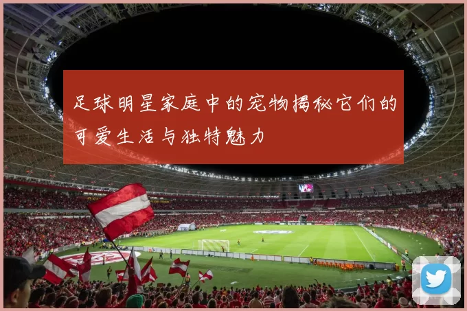 足球明星家庭中的宠物揭秘它们的可爱生活与独特魅力